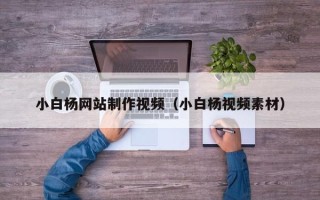 辽源小白杨网站制作视频（小白杨视频素材）