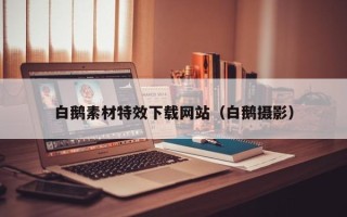 辽源白鹅素材特效下载网站（白鹅摄影）